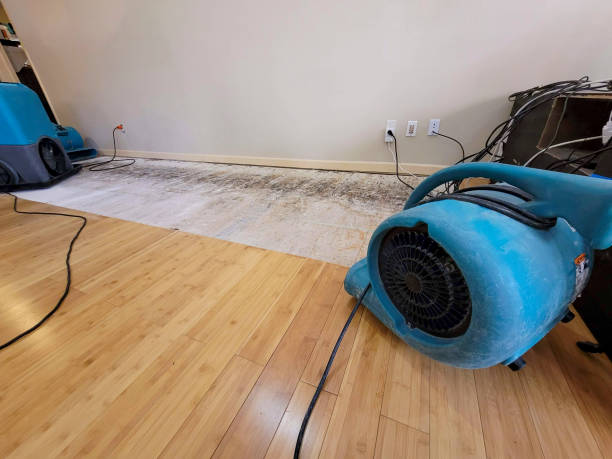 Reliable Structural Drying And Dehumidification contractor in Saint Louis, MI by Hirex Water Damage