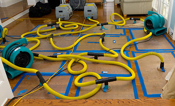 Professional Structural Drying And Dehumidification technician working in Saint Louis, MI