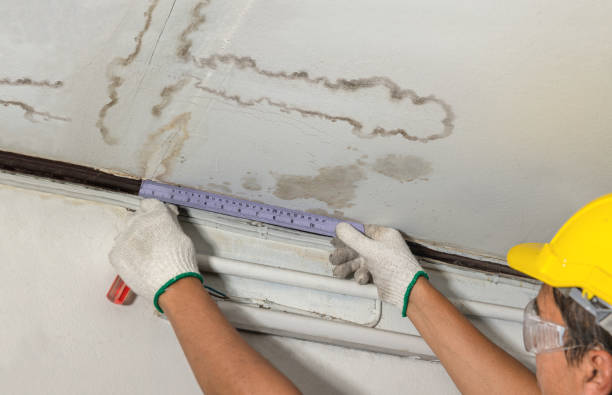 Affordable Water Damage Repair solutions in Saint Louis, MI
